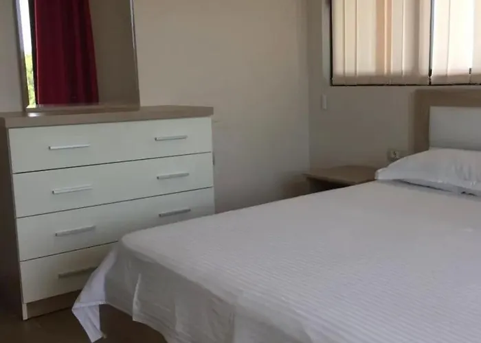 Misol Polisi i Vogel